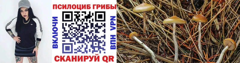 Псилоцибиновые грибы MAGIC MUSHROOMS  Нягань 